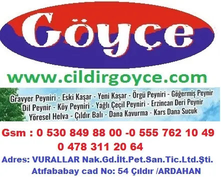 www.cildirgoyce.com