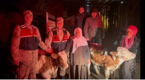 JASAT Çalınan Hayvanlar Bularak Sahibine Teslim Ett. 