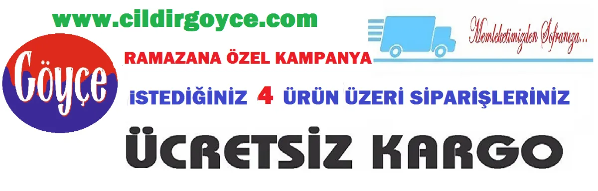 www.cildirgoyce.com