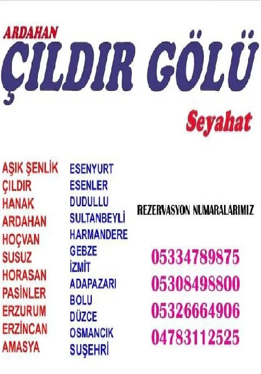 www.cildirgoluseyahat.com.tr