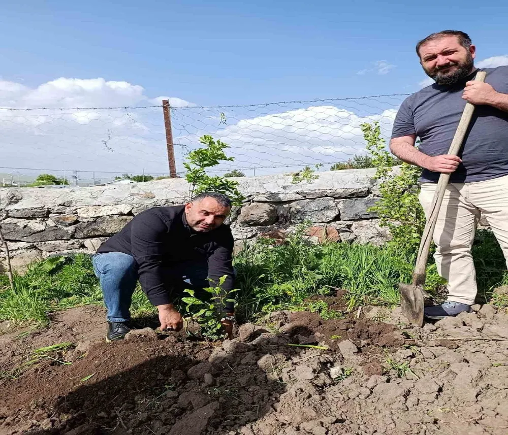 Ardahanda Çay Ekimi Yapıldı 