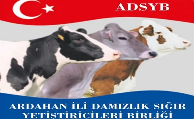 Damızlık Birliği Seçime Gidiyor